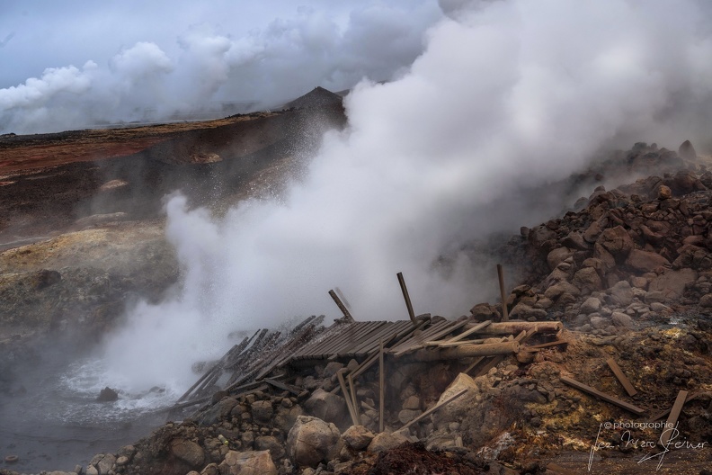 _TER8313.jpg
