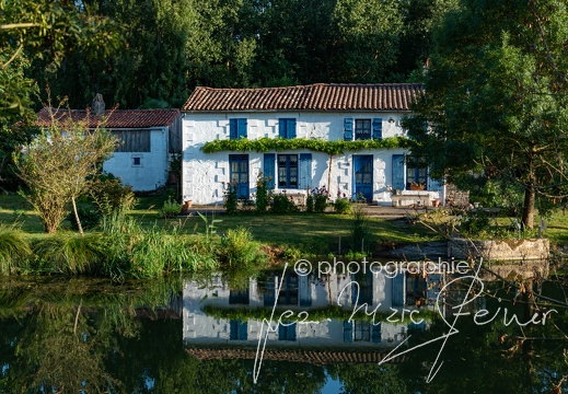 Photographie France-Marais Poitevin 2021 Jean-Marc Steiner