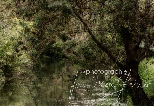 Photographie France-Marais Poitevin 2021 Jean-Marc Steiner