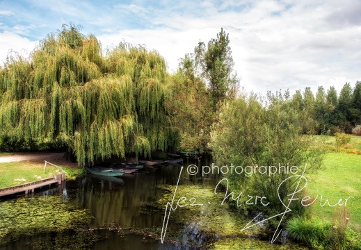 France - Marais Poitevin 2021
