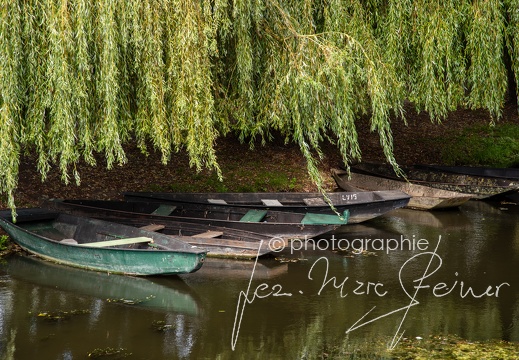 France - Marais Poitevin 2021