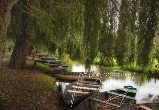Photographie France-Marais Poitevin 2021 Jean-Marc Steiner