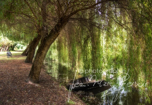 Photographie France-Marais Poitevin 2021 Jean-Marc Steiner