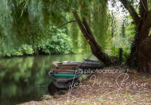 Photographie France-Marais Poitevin 2021 Jean-Marc Steiner