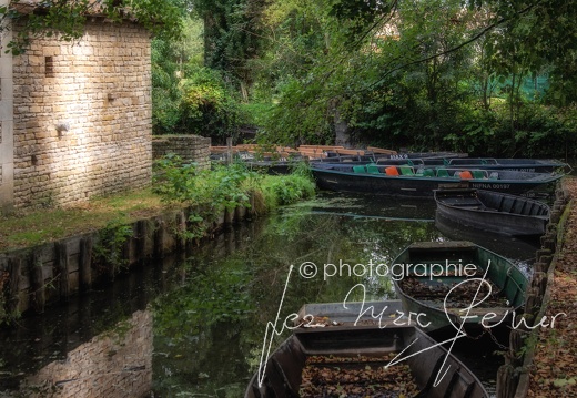 Photographie France-Marais Poitevin 2021 Jean-Marc Steiner