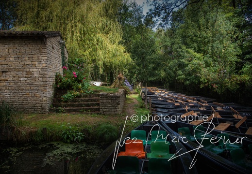 Photographie France-Marais Poitevin 2021 Jean-Marc Steiner