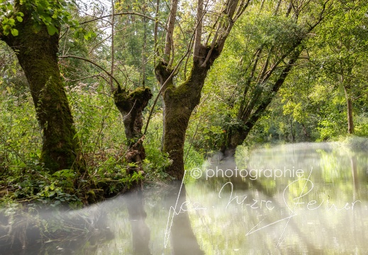 Photographie France-Marais Poitevin 2021 Jean-Marc Steiner