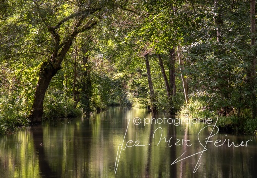 Photographie France-Marais Poitevin 2021 Jean-Marc Steiner