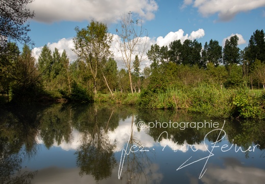 Photographie France-Marais Poitevin 2021 Jean-Marc Steiner
