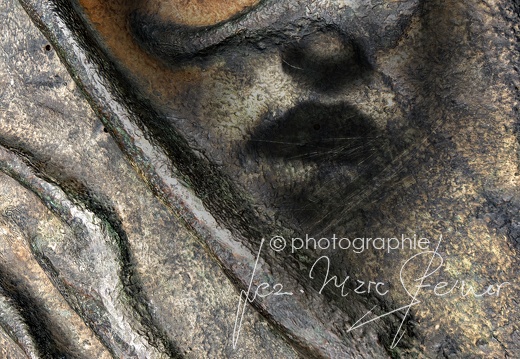 exposition-FARB-delemont-2023