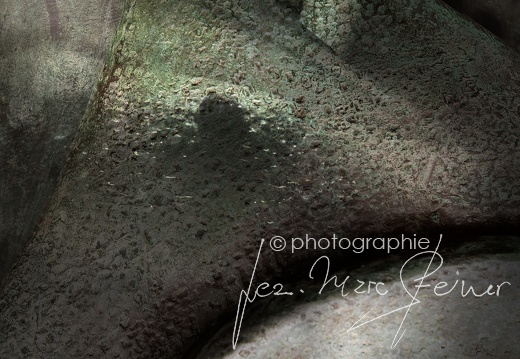 exposition-FARB-delemont-2023
