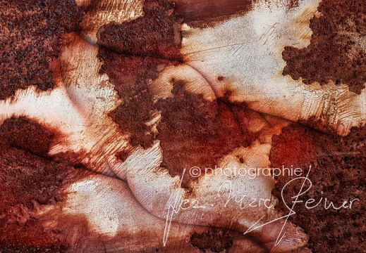 Exposition Galerie Samia Artho Delemont 2024