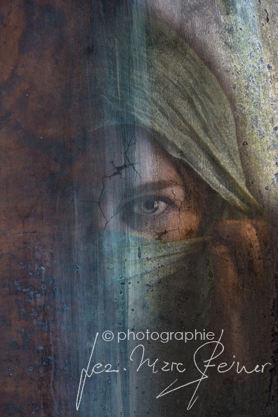 TER_1112-femme-voilee.jpg
