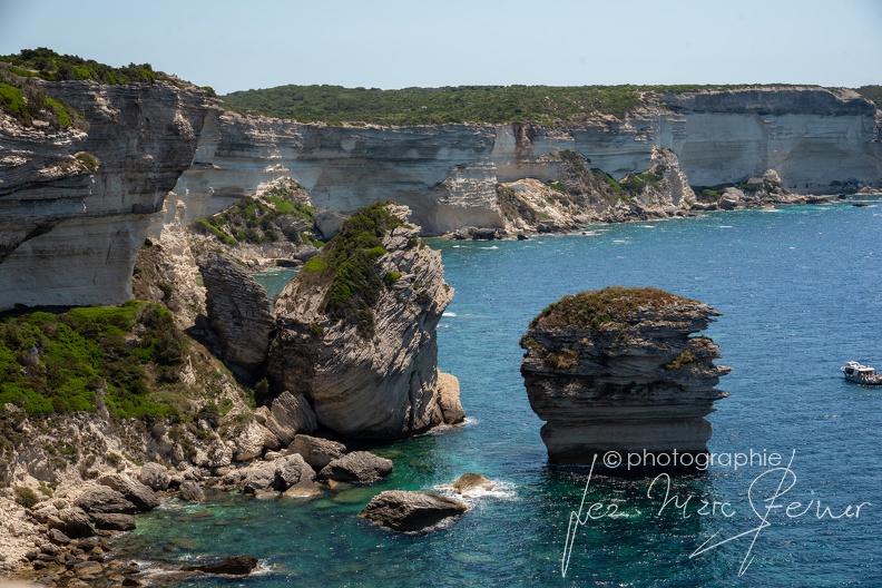 DSC_8458.jpg
