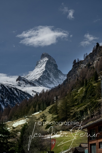 TER_3156.jpg
