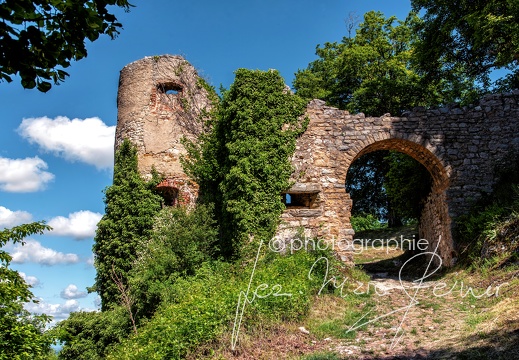 Photographie France-Alsace-Vosges Jean-Marc Steiner