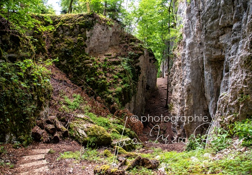Photographie France-Alsace-Vosges Jean-Marc Steiner