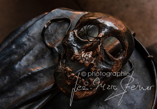 DSC 2735-araignee-fb