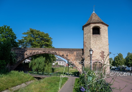 Photographie France-Alsace-Vosges Jean-Marc Steiner