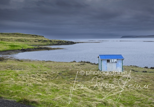  DSC4775